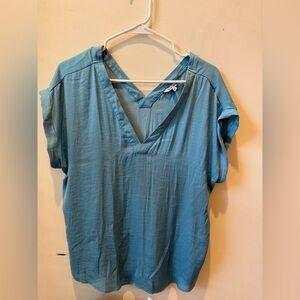 Naked Zebra Teal V-Neck Blouse
